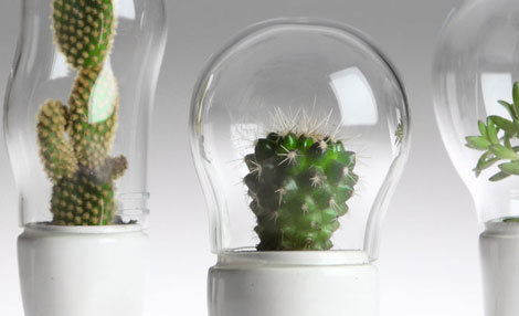 超級搞笑!穿褲子的盆栽