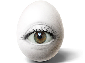 超酷:雞蛋創意作品欣賞