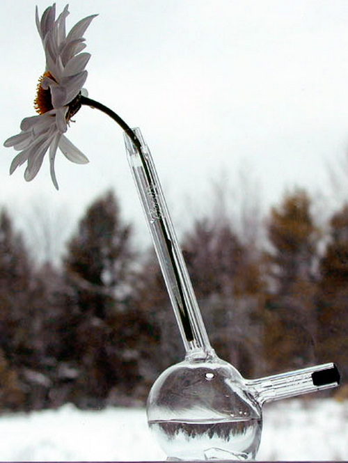 帶有禪意風(fēng)格的唯美花瓶