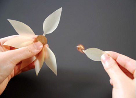 花瓣造型火柴 “擦亮”你的生活