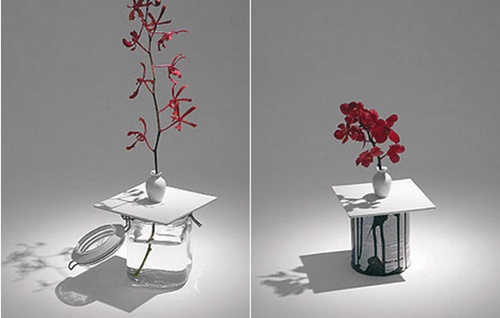 新式“花瓶” 功能只有一半