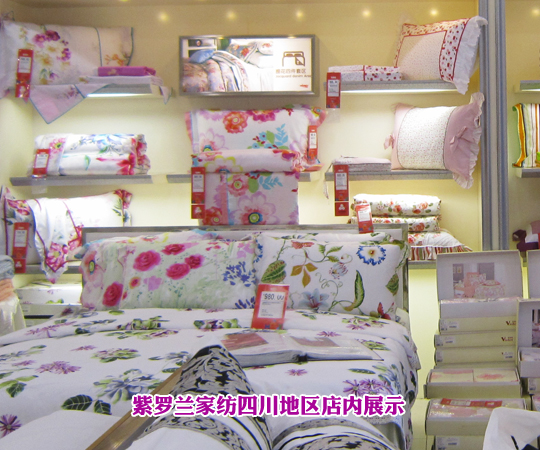 牽手紫羅蘭開創新人生