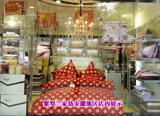 感恩紫羅蘭相伴十一年