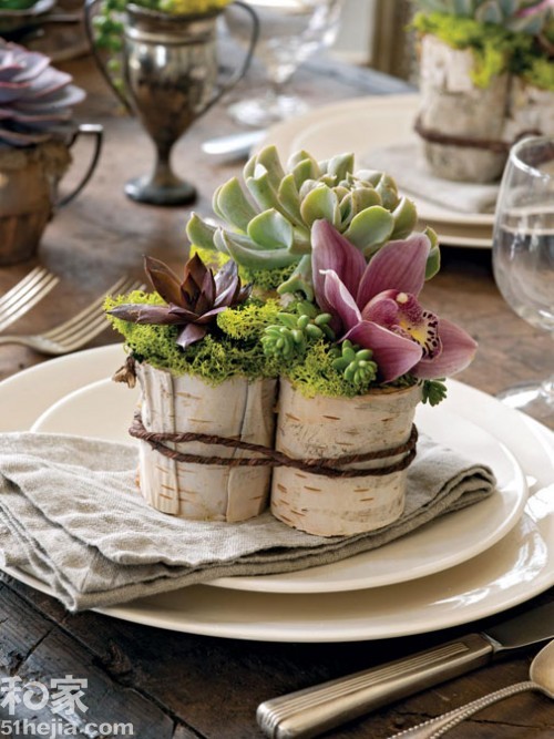 回歸自然樹木造型的裝飾花盆(一)