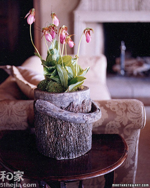 回歸自然樹木造型的裝飾花盆(一)