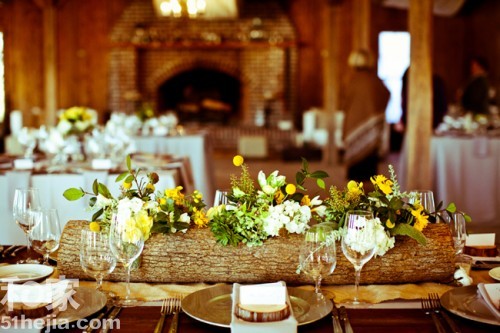 回歸自然樹木造型的裝飾花盆(三)