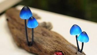 創新LED燈樹樁上的小蘑菇