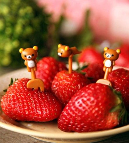 讓家多點萌物多點心情