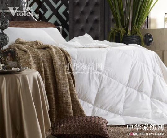 被紫羅蘭呵護過的夏天