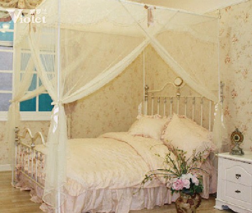 幸福的花季紫羅蘭制造甜蜜