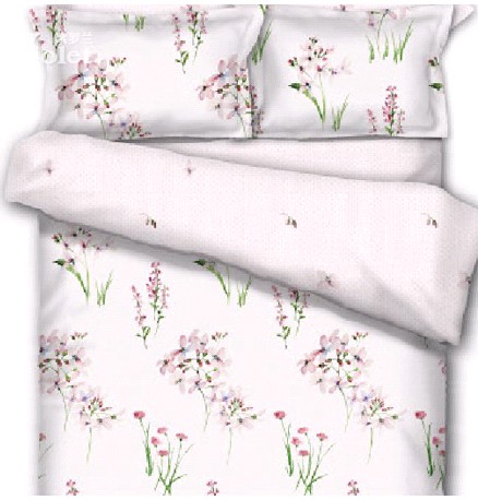 暑熱來襲紫羅蘭為您清涼降溫