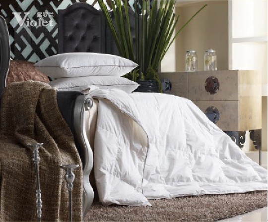 身在紫羅蘭 心懷幸福感