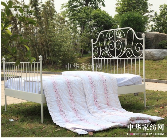 秋雨輕飄 浸潤紫羅蘭萬里花香