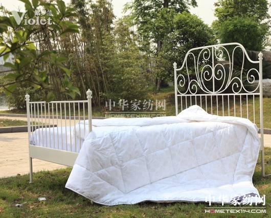 紫羅蘭孤獨之夜與你相伴