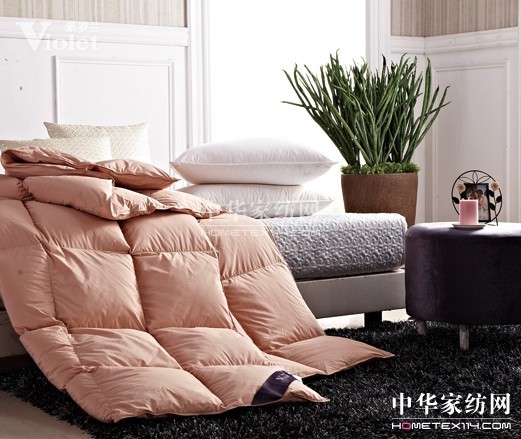 紫羅蘭孤獨之夜與你相伴