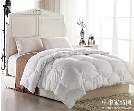 蕭瑟冬日紫羅蘭與你溫暖相伴