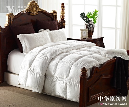 “被”感溫暖 紫羅蘭用愛延續