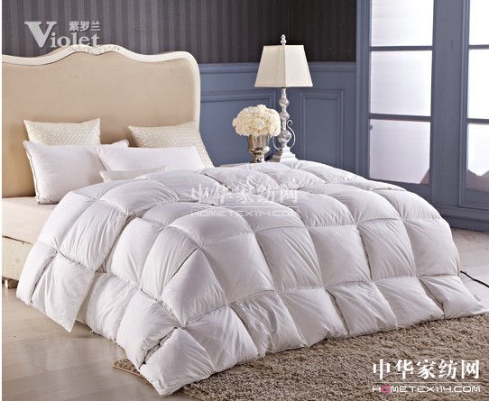 “被”感溫暖紫羅蘭用愛延續(xù)