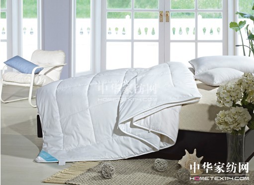 暖心愛意盡在藍絲羽