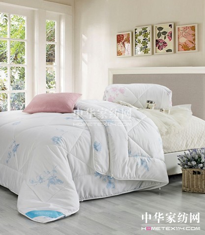 暖心愛意盡在藍絲羽