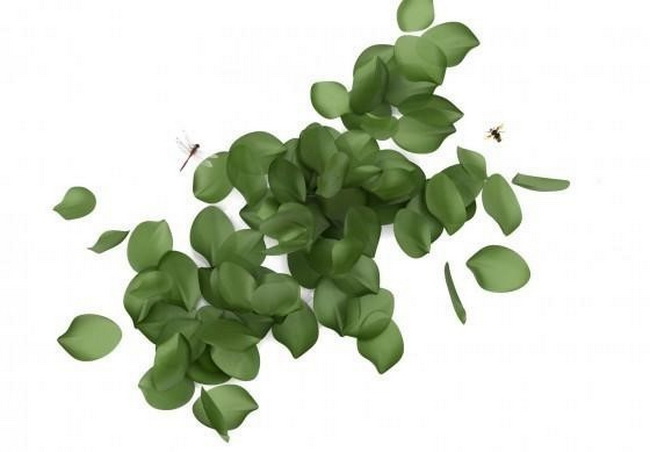 Seasons四季-仿生餐具