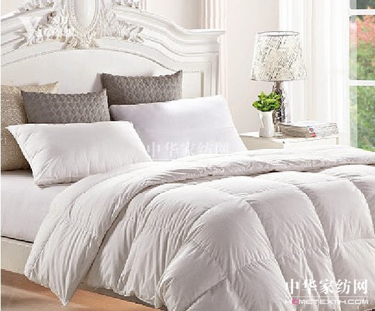 冬日呵護 溫暖有愛紫羅蘭