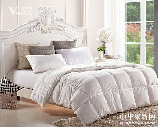 冬日呵護(hù)溫暖有愛(ài)紫羅蘭