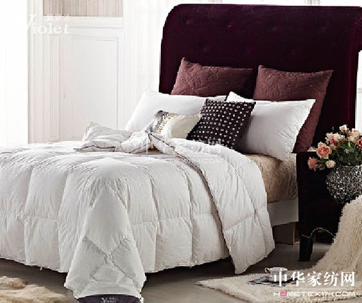 綻放在十六歲花季的紫羅蘭