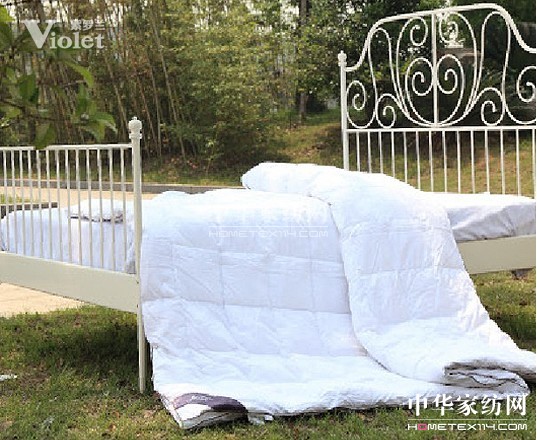 綻放在十六歲花季的紫羅蘭