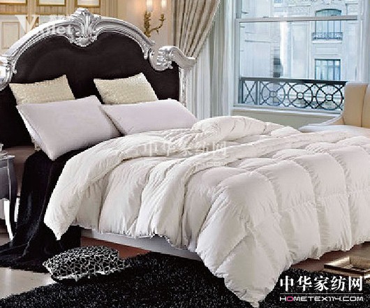 紫羅蘭與您相約冬季