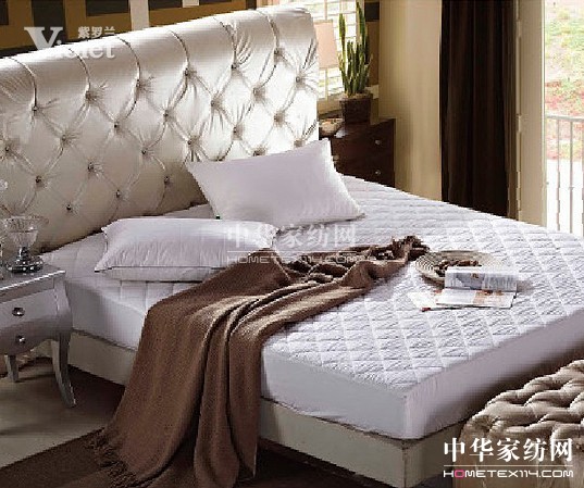 紫羅蘭情暖今冬