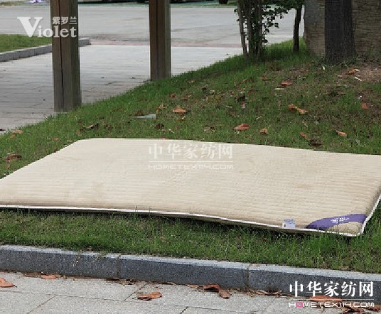 紫羅蘭—今冬有你,溫暖無邊