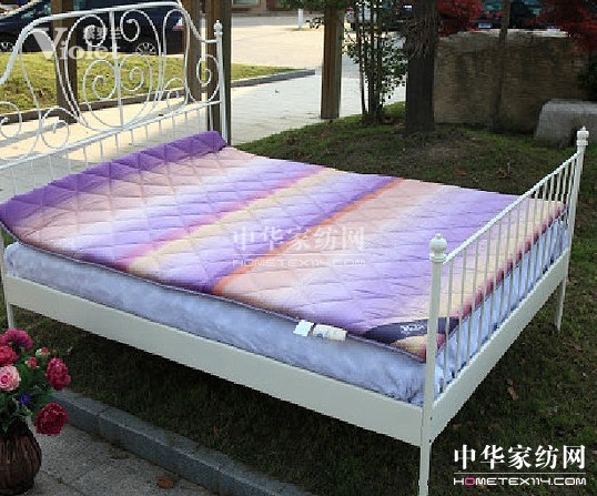 紫羅蘭—今冬有你,溫暖無邊