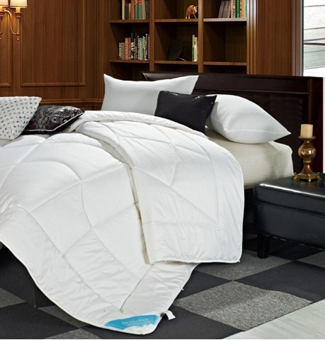 冬雨淅瀝藍絲羽給你溫暖陽光