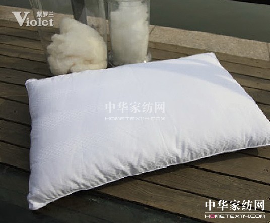 紫羅蘭伴你走過冬日時光