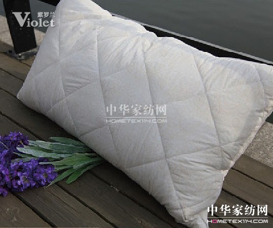 情定紫羅蘭 相約在冬季