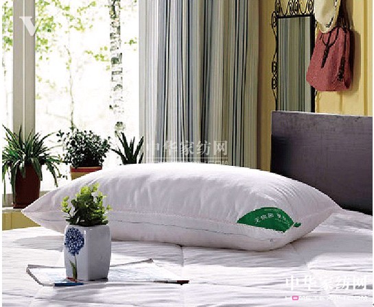 梅雪奇景 紫羅蘭與你冬日盡享