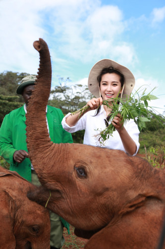李冰冰出演"變四"引熱議非洲認養(yǎng)幼象