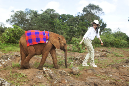 李冰冰出演"變四"引熱議非洲認養幼象