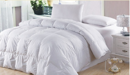 家紡保養經 羽絨被巧保養