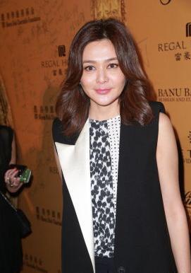 關(guān)之琳盛裝助慈善