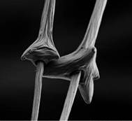 羽絨服為什么保暖性最好