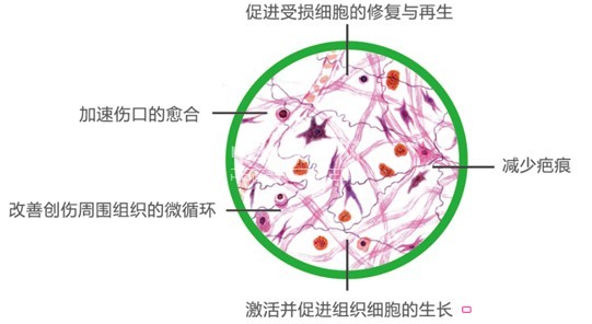 藍品纖維科技:掀起床品抗菌新時尚