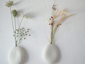 綠色植物裝點墻壁