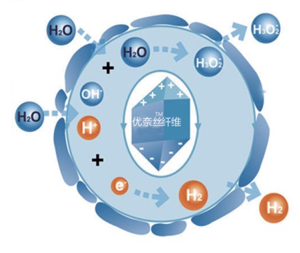 藍(lán)品科技優(yōu)奈絲:女性家紡呵護(hù)美麗