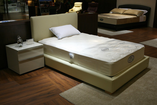 ֪l(shu)l(f)ϯ(mng)˼