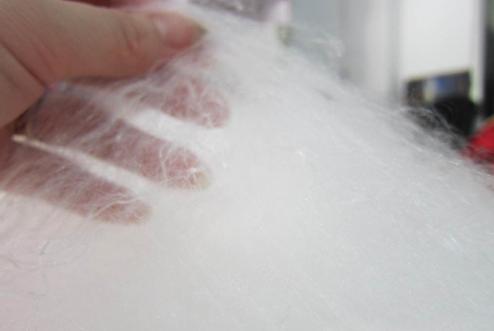 長春質(zhì)量監(jiān)測抽查中蠶絲被八成不合格