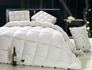 2014年中國(guó)羽絨市場(chǎng)研討會(huì)在貴港召開(kāi)