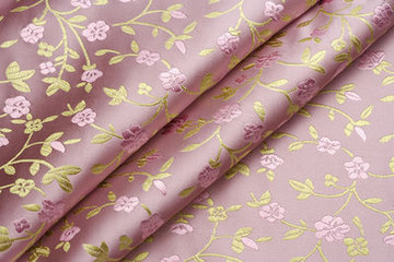 南充絲綢文化研究會(huì)開(kāi)展交流活動(dòng)