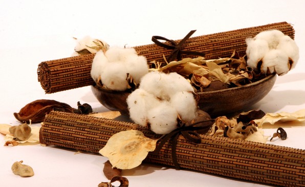 3年棉花臨時收儲政策結束 市場恢復正常